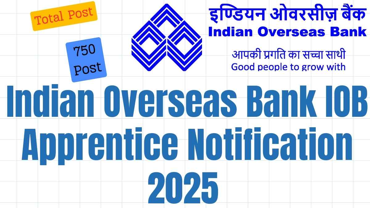 Indian Overseas Bank IOB Apprentice Recruitment 2025 Indian Overseas Bank IOB Apprentice Notification 2025