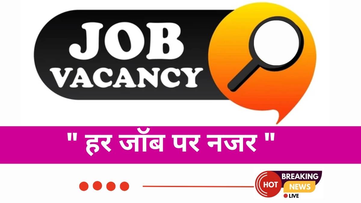 Pvt Ltd Company Job in Noida